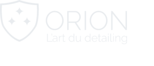 Logo Orion - Left Right - Platinum
